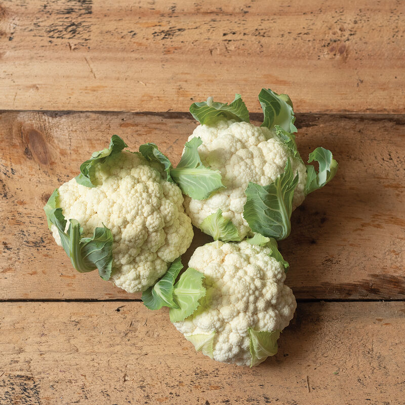 Twister Standard Cauliflower