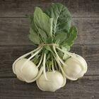 Beas Fresh Market Kohlrabi