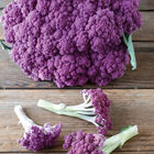 Murasaki Fioretto 70 Sprouting Cauliflower
