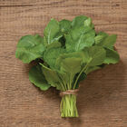 Amara Mustard Greens