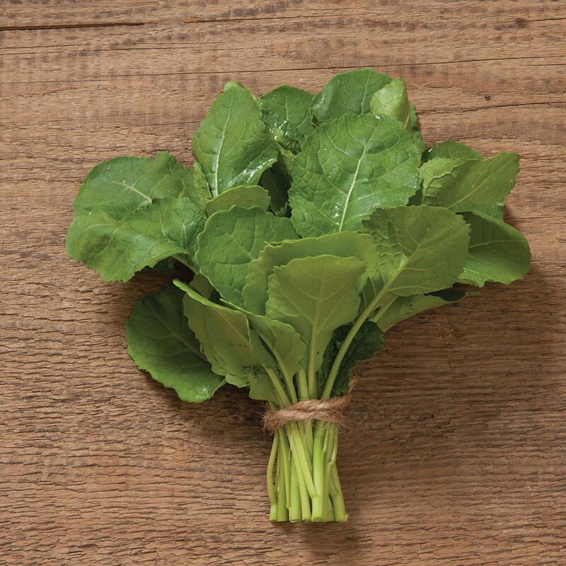 Amara Mustard Greens