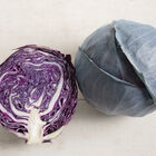 Omero Fresh Market Cabbage