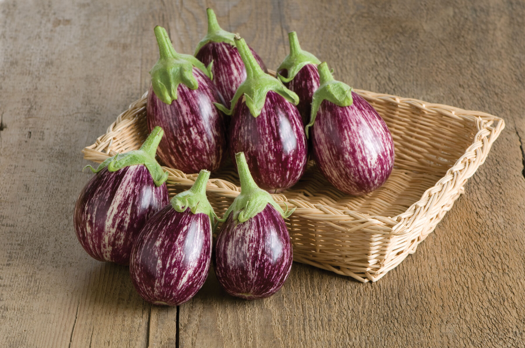 Johnny's Selected Seeds Calliope Eggplant Seed