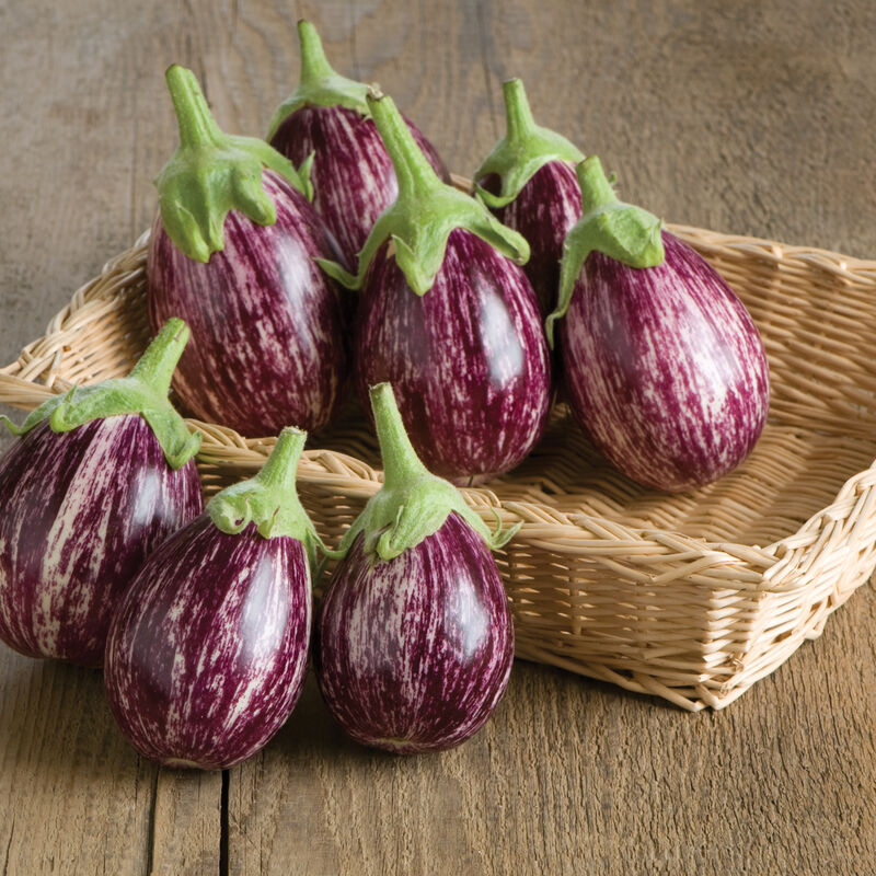 Calliope Asian Eggplants