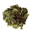 Red Flash Asian Greens