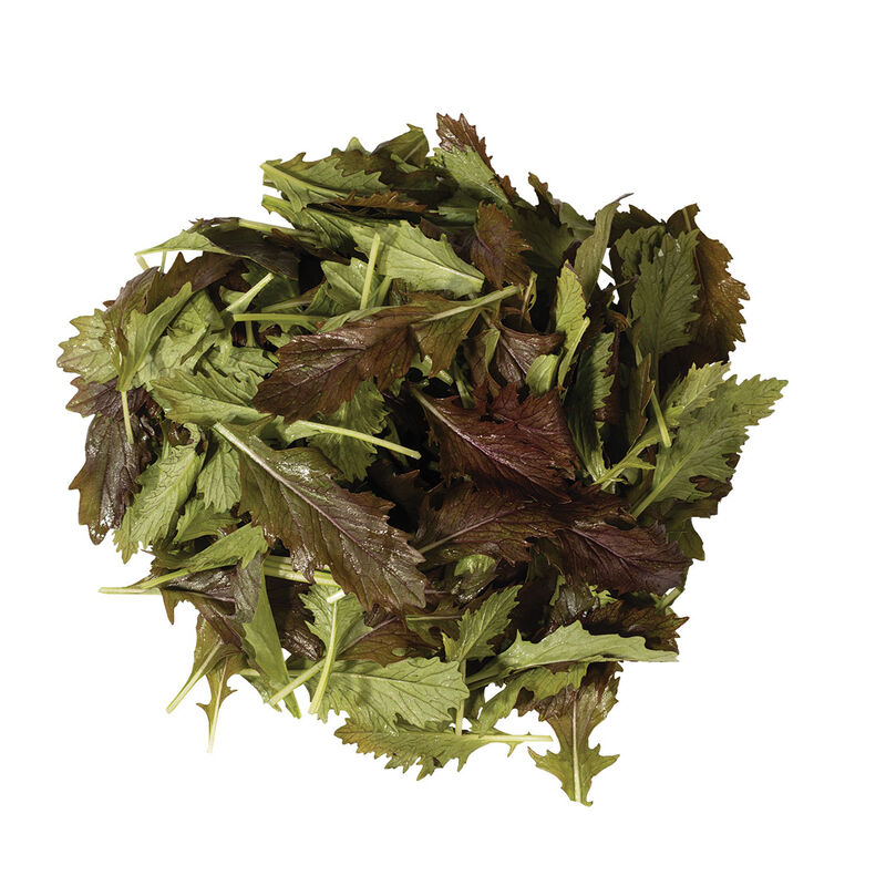 Red Flash Asian Greens
