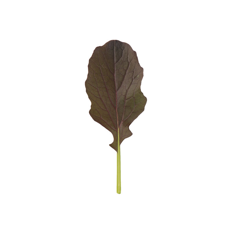Red Kingdom Asian Greens
