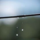 Raised Bed Drip Kit Drip Irrigation