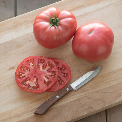 Abigail Beefsteak Tomatoes