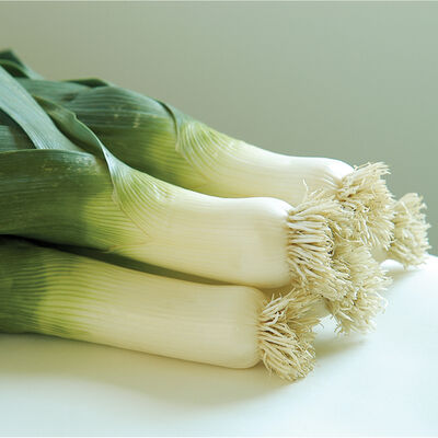 Bandit Bandit Leeks
