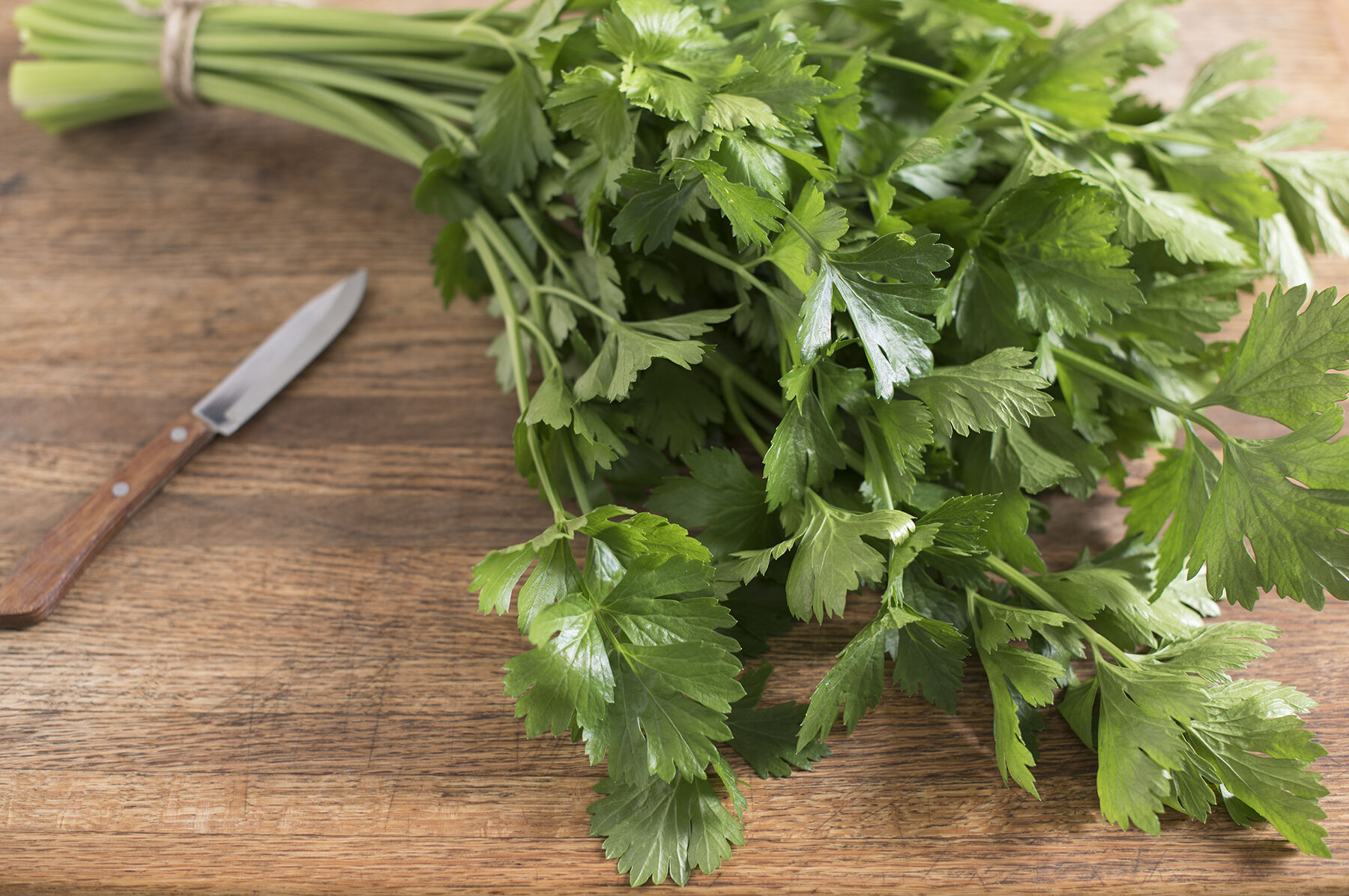 Cutting Celery Culinary Herbs