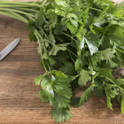 Cutting Celery Cutting Celery