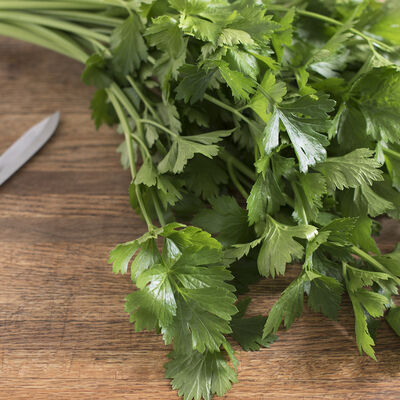 Cutting Celery Culinary Herbs