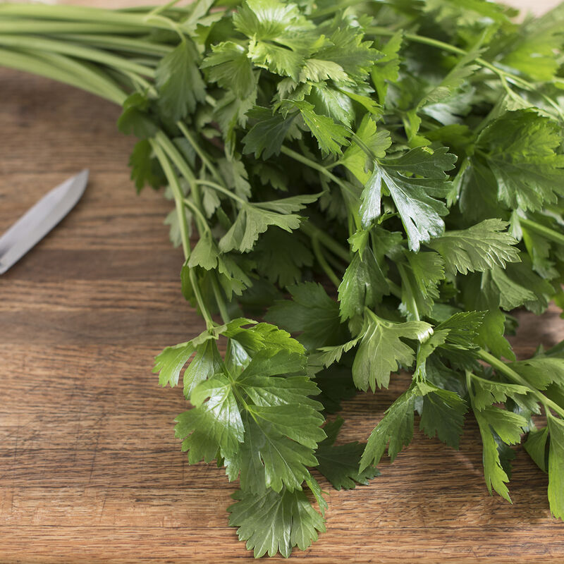 Cutting Celery Cutting Celery