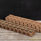 20 Cell Fertil Pots Strip – 10 Count Biodegradable Pots