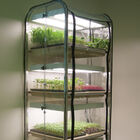 Humidity Tent Grow Lights and Carts
