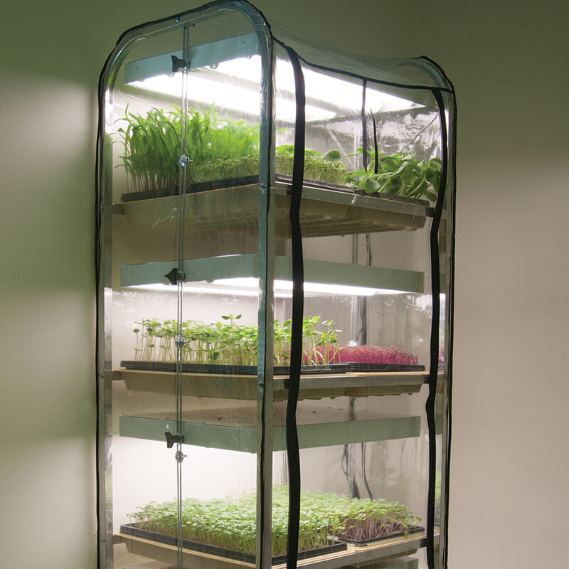Humidity Tent Grow Lights and Carts