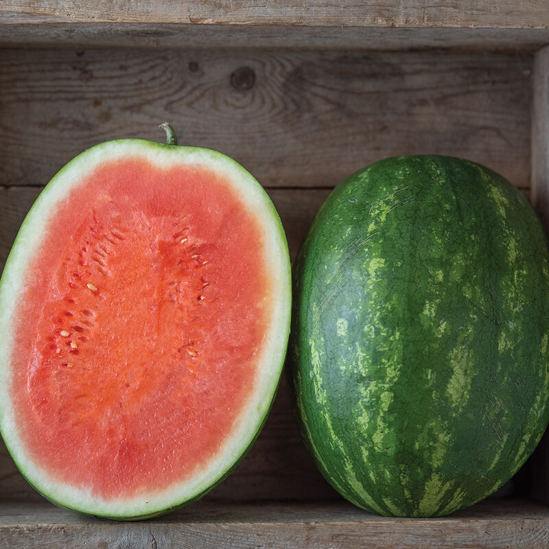 Red Amber Triploid Watermelons (Seedless)
