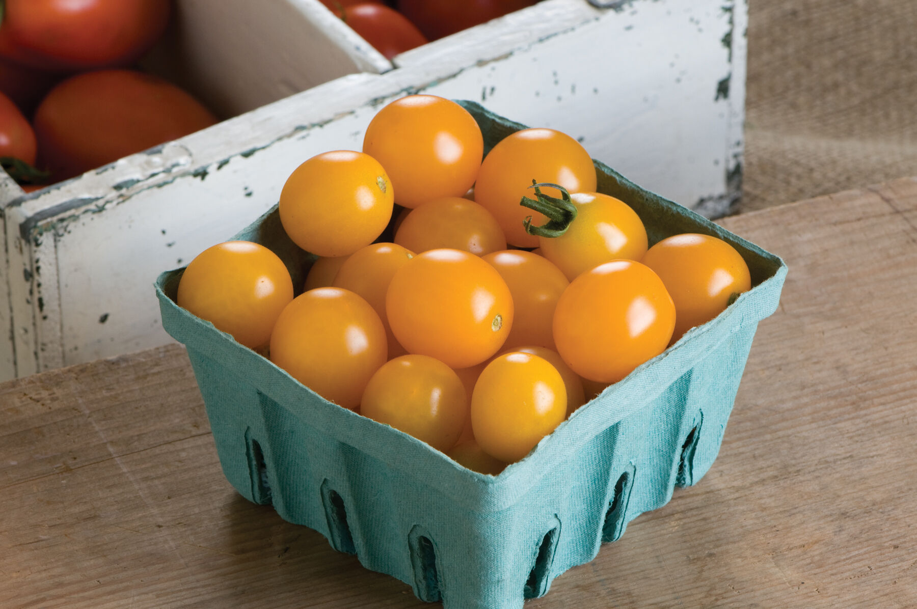 とまとです Yellow Mini - Cherry Tomato Seeds | Johnny's Selected Seeds
