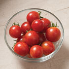 Pink Bumble Bee Specialty Tomatoes