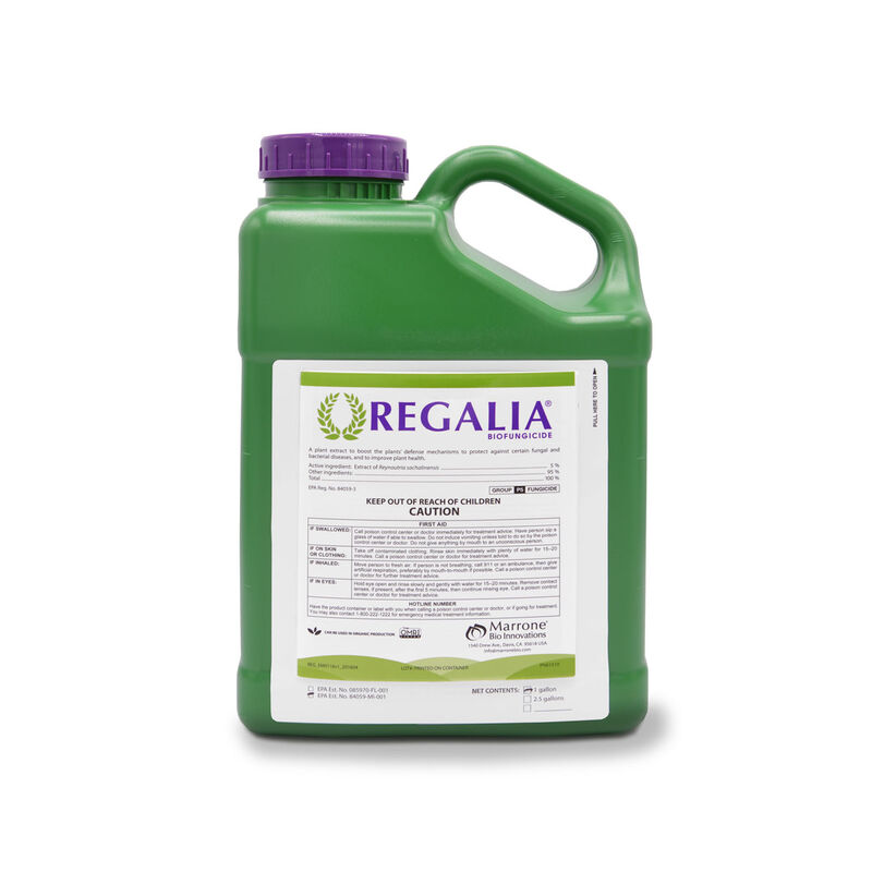 Regalia® CG – 1 Gal. Fungicides