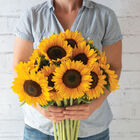 Sunrich Summer Provence Tall Sunflowers