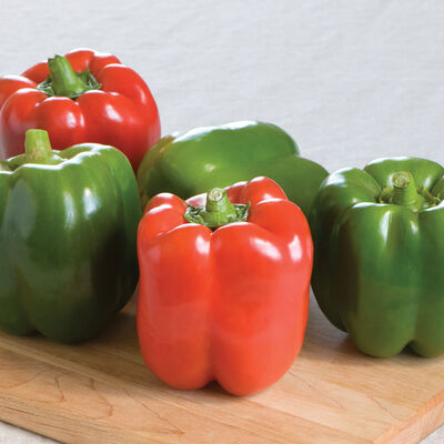 Olympus Sweet Bell Peppers