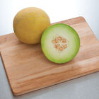 Diplomat Galia Melons (Tropical)
