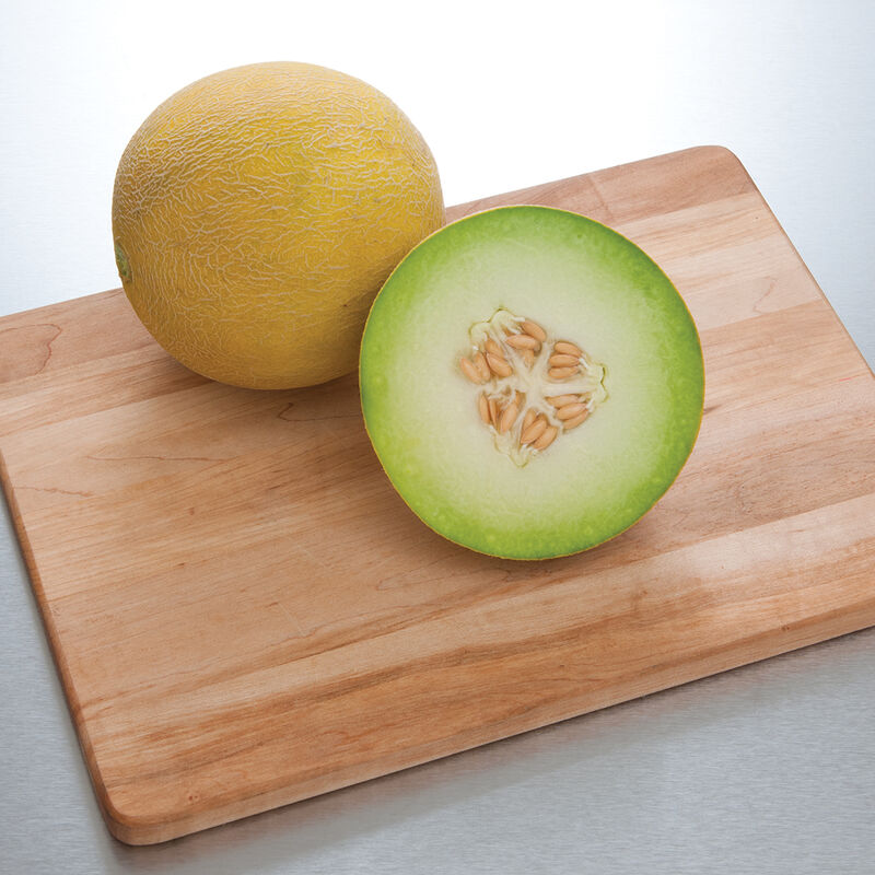 Diplomat Galia Melons (Tropical)