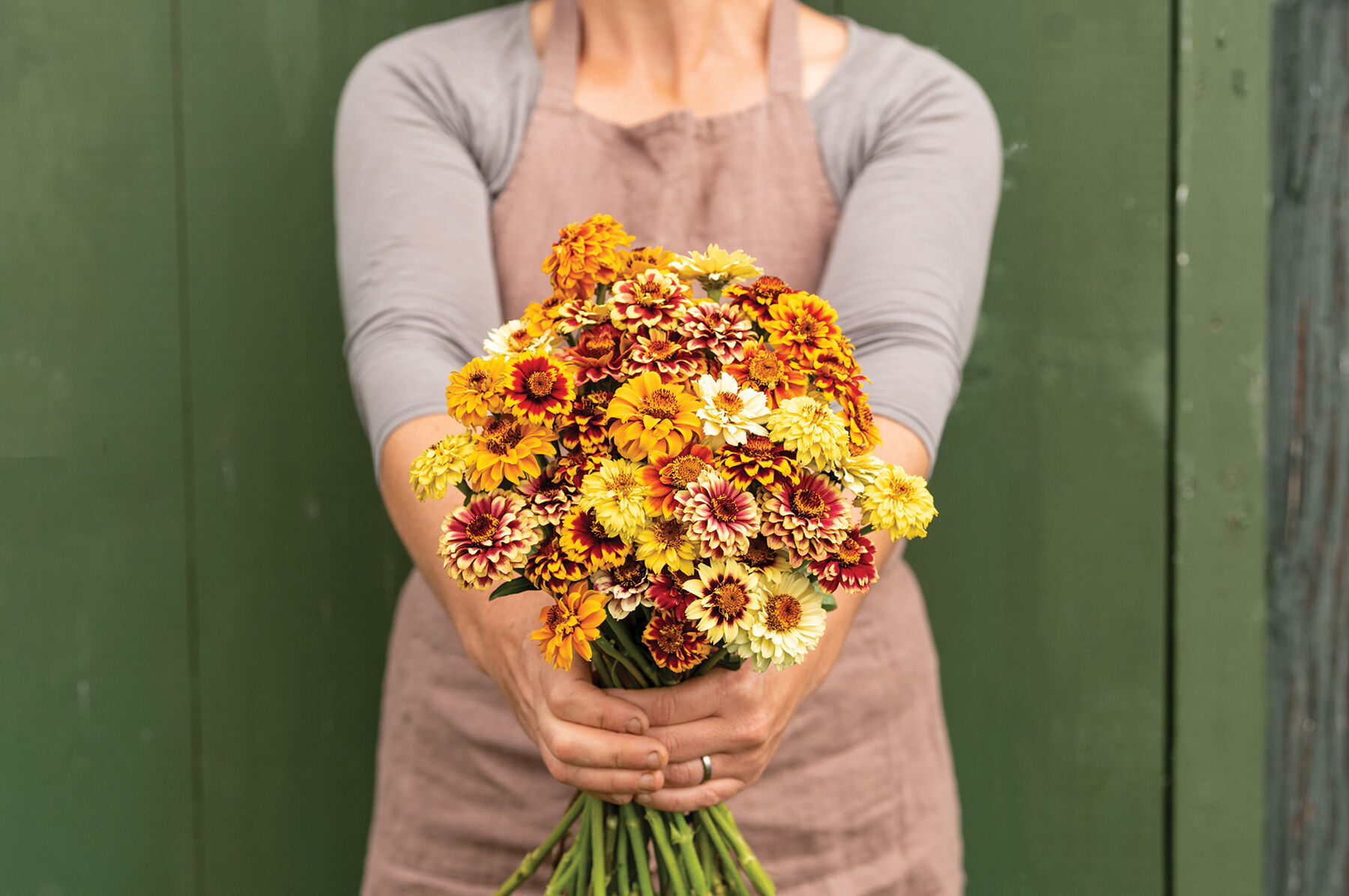 Persian Carpet - Heirloom & Organic Zinnia Seeds | Johnny's