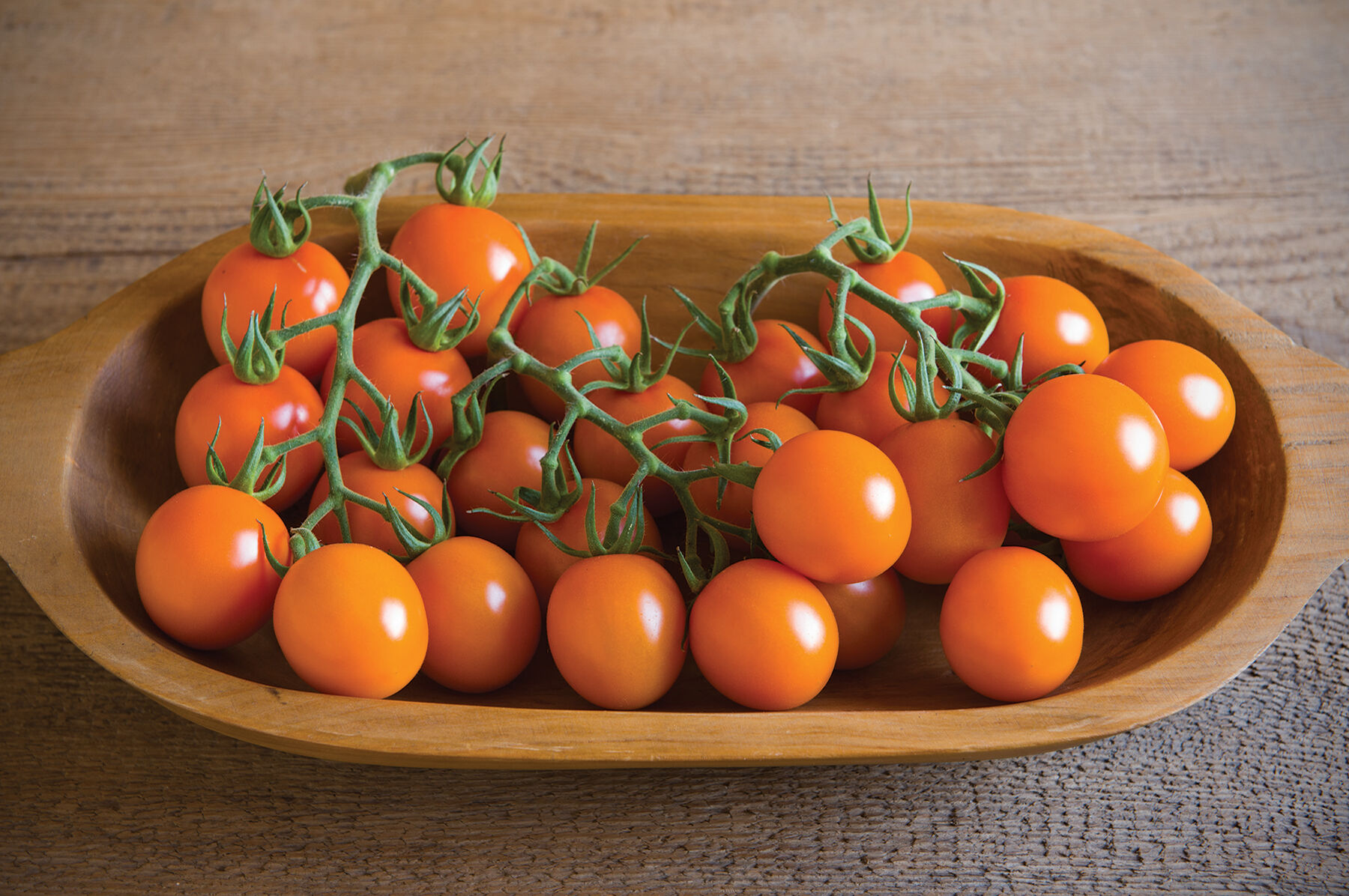 2024年新作 Clementine - Seeds Selected Johnny's | Seed Tomato (F1) Organic トップス