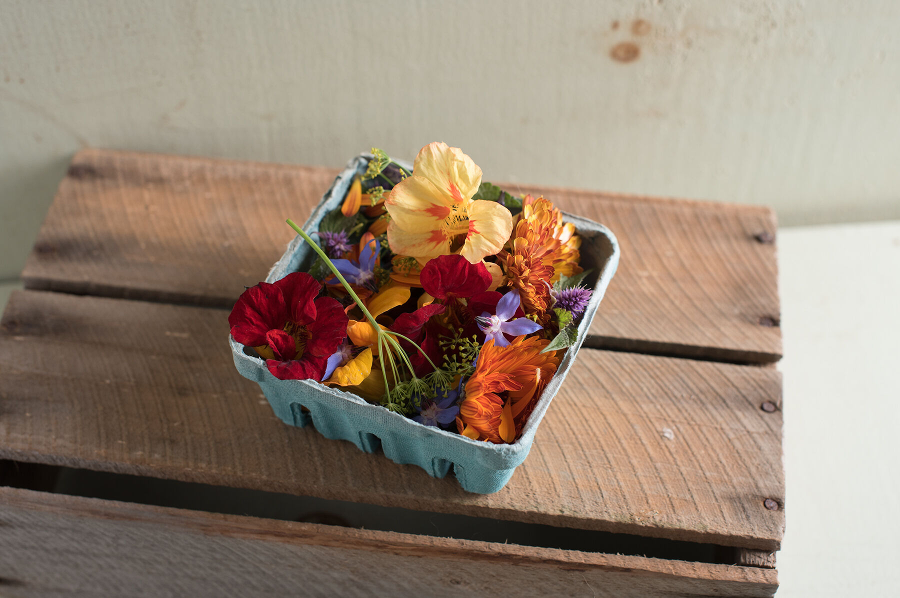 Organic Edible Flower Collection Flower Collections and Mixes