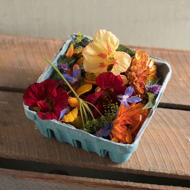 Organic Edible Flower Collection Flower Collections and Mixes