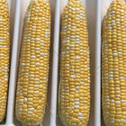 Inspiration Sweet Corn