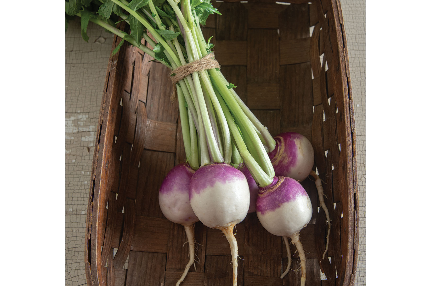 Purple Top White Globe Turnips
