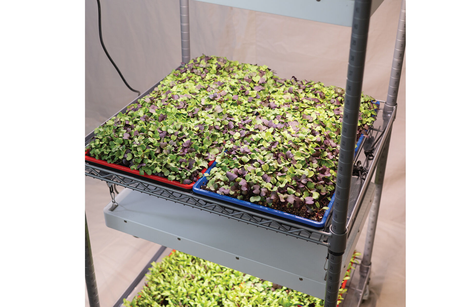 Johnny s Modular LED Grow Light Cart