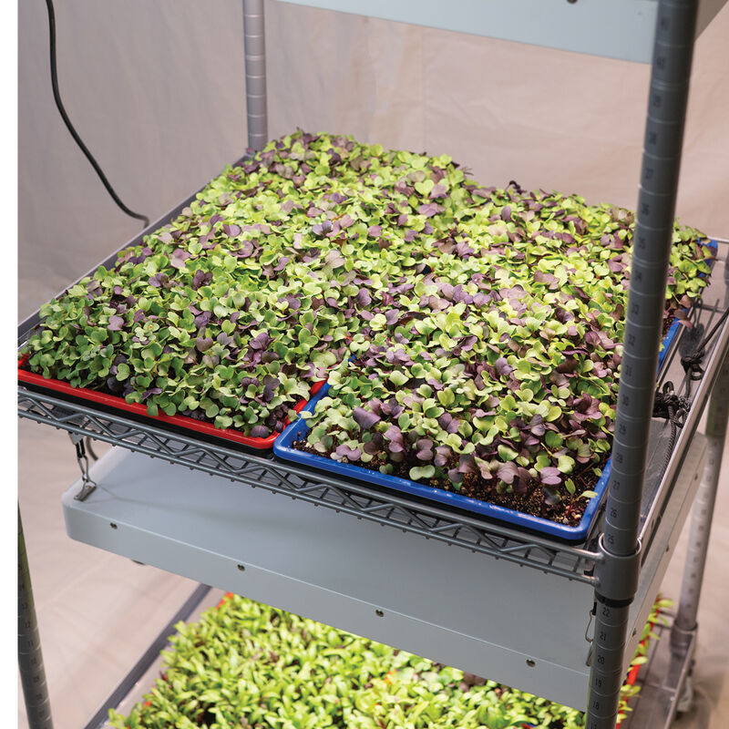 Johnny's Modular LED Grow Light Cart LED