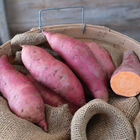 Mahon Yam&trade; Sweet Potatoes