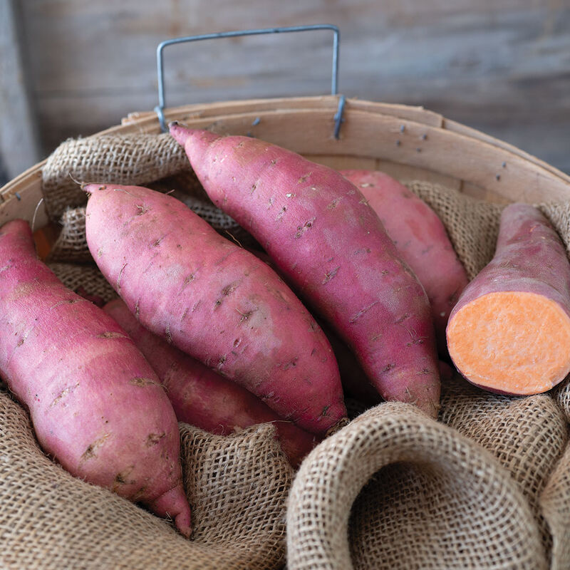 Mahon Yam&trade; Sweet Potatoes