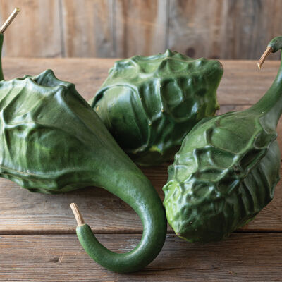 Dinosaur Gourd Dinosaur Gourd Gourds