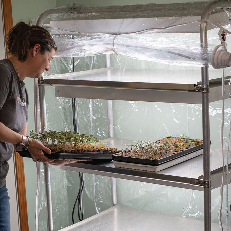 Humidity Tent Grow Tents