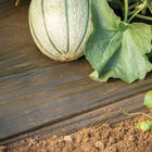 Solar Mulch – 4' x 50' Solar Mulch – 4' x 50' Mulch Films