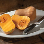 Butterbaby Butterbaby Winter Squash