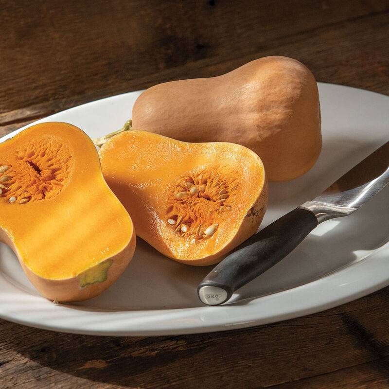 Butterbaby Winter Squash