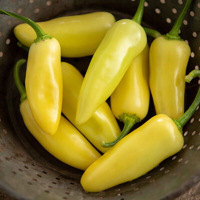 Arriba Hot Peppers