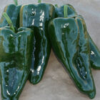 San Ardo Hot Peppers