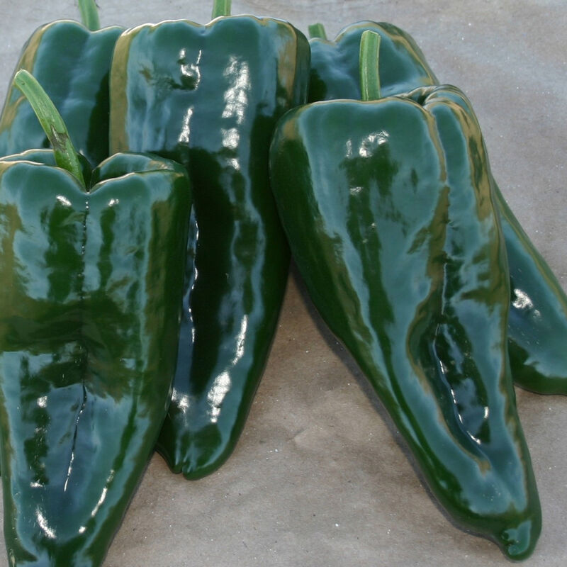 San Ardo Hot Peppers