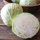 Botran Fresh Market Cabbage