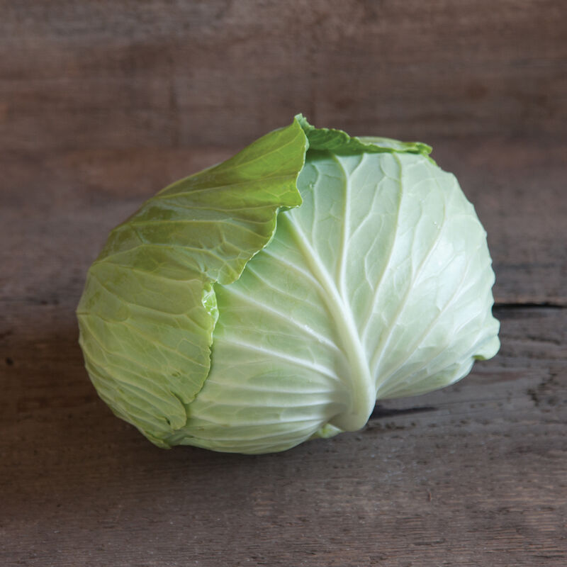 Tendersweet Fresh Market Cabbage