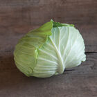 Tendersweet Fresh Market Cabbage
